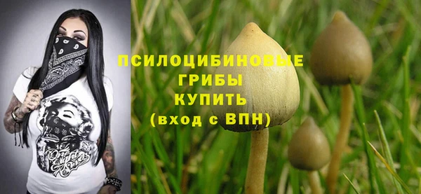 молекула духа Майский