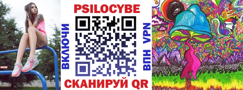 ссылка на мегу зеркало  Тара  Псилоцибиновые грибы Psilocybe 