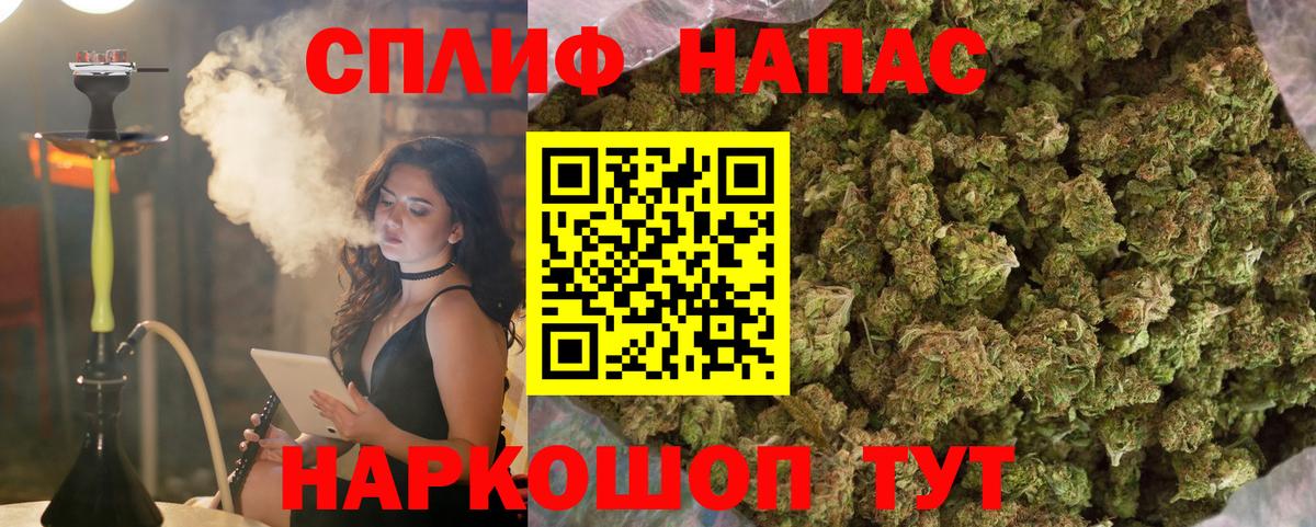 Тара  МАРИХУАНА гибрид  Марихуана White Widow  Вход с VPN  Бошки марихуана марихуана  Шишки марихуана конопля 